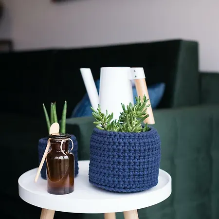 Anchor Vintage 格但斯克